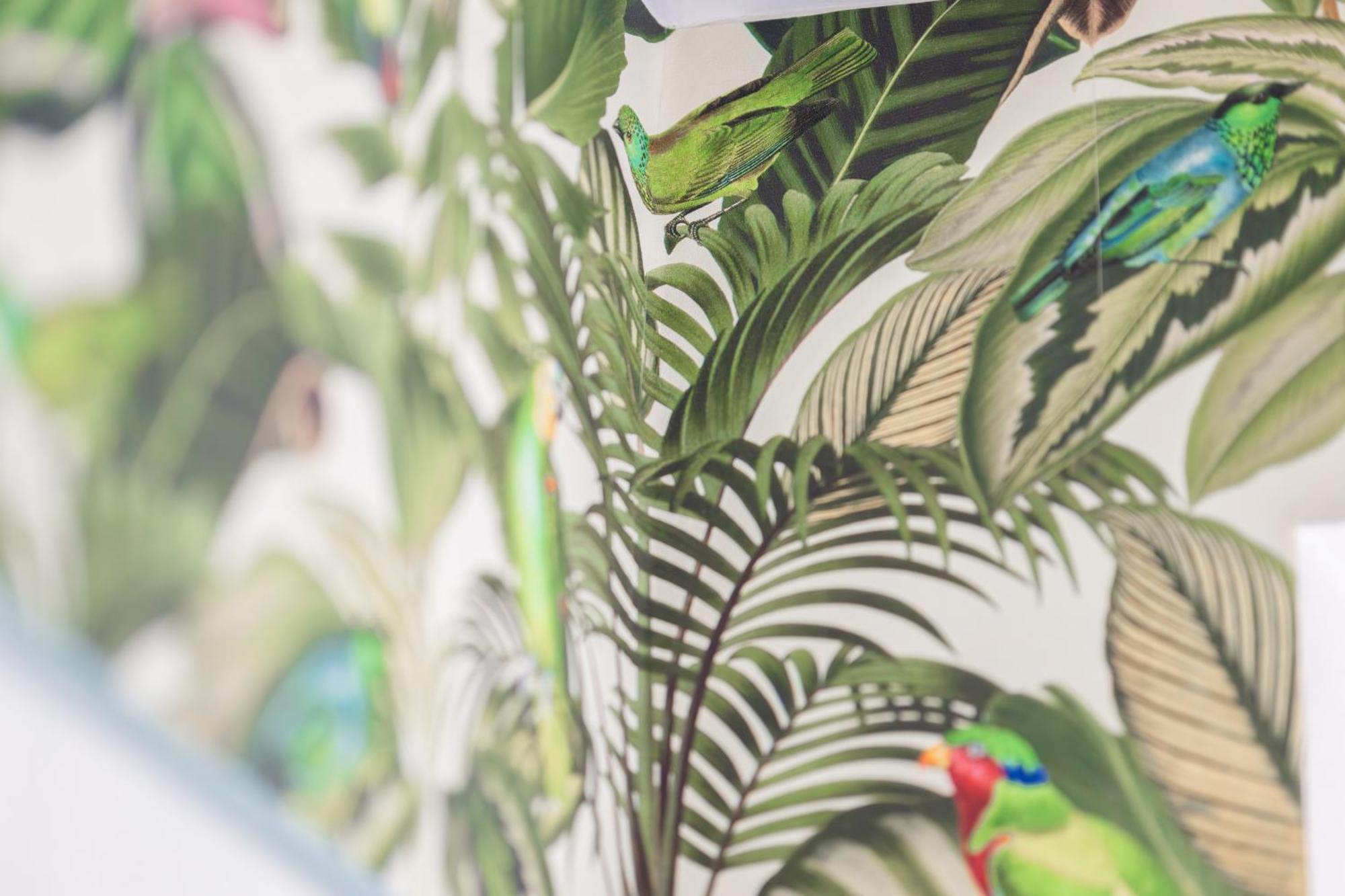 Stay Awesome - Urban Jungle Apartment Zentral, Wilhelmshoehe Kassel Exterior foto